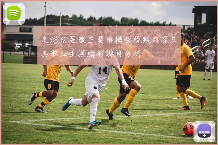 足球明星狼王是谁揭秘视频内容及其职业生涯精彩瞬间分析