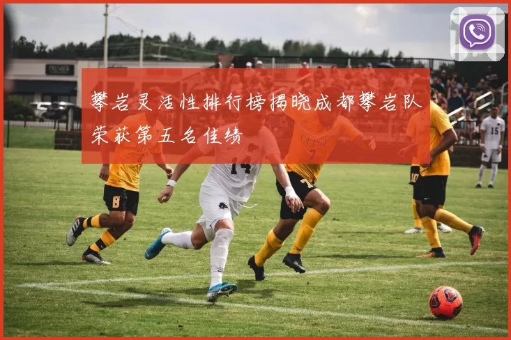攀岩灵活性排行榜揭晓成都攀岩队荣获第五名佳绩