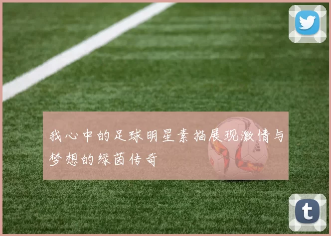 我心中的足球明星素描展现激情与梦想的绿茵传奇