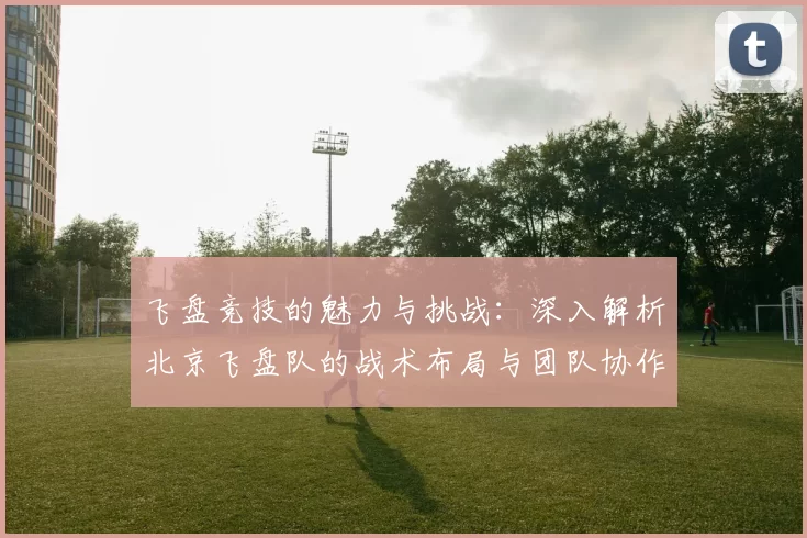 飞盘竞技的魅力与挑战：深入解析北京飞盘队的战术布局与团队协作
