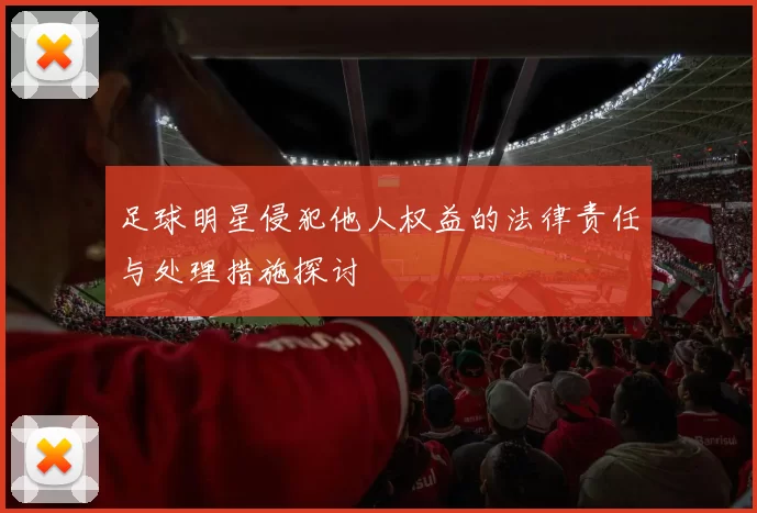足球明星侵犯他人权益的法律责任与处理措施探讨