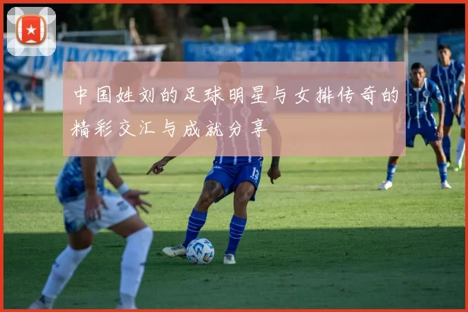 中国姓刘的足球明星与女排传奇的精彩交汇与成就分享