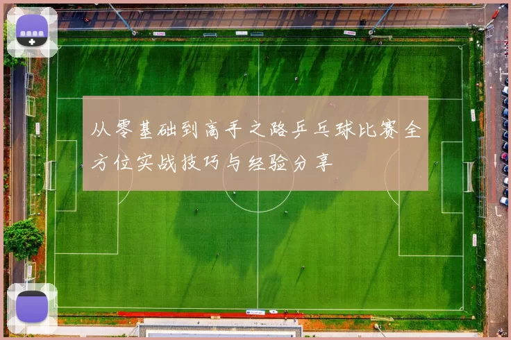 从零基础到高手之路乒乓球比赛全方位实战技巧与经验分享
