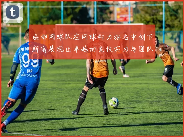 成都网球队在网球耐力排名中创下新高展现出卓越的竞技实力与团队精神