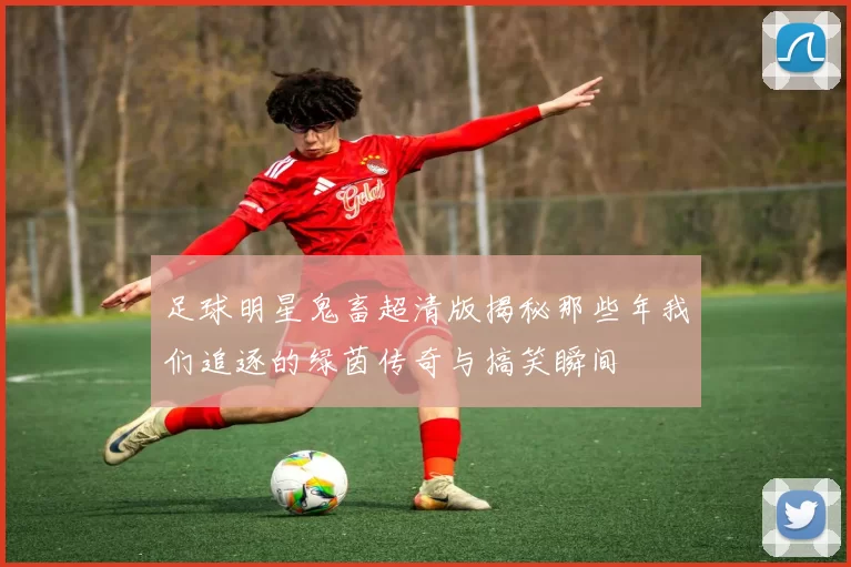 足球明星鬼畜超清版揭秘那些年我们追逐的绿茵传奇与搞笑瞬间