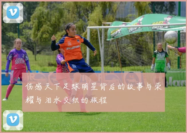 伤感天下足球明星背后的故事与荣耀与泪水交织的旅程