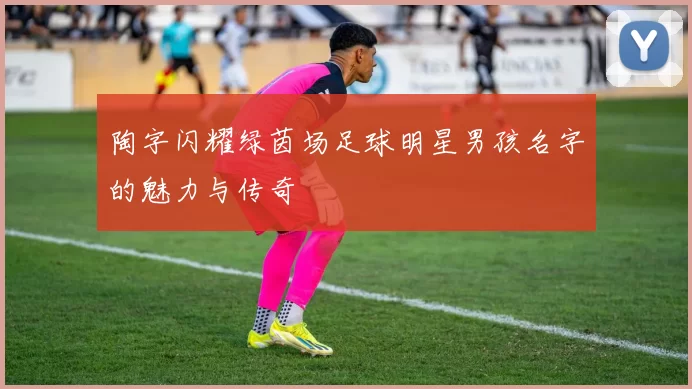 陶字闪耀绿茵场足球明星男孩名字的魅力与传奇