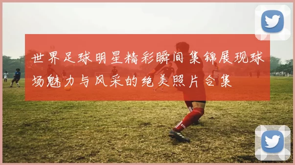 世界足球明星精彩瞬间集锦展现球场魅力与风采的绝美照片合集