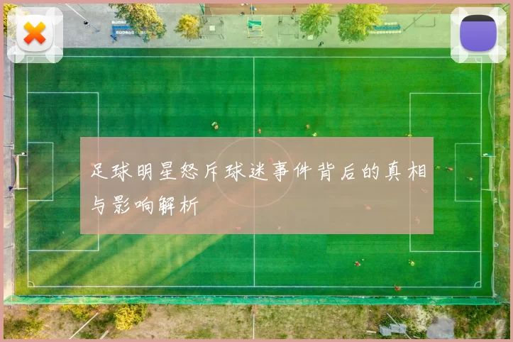 足球明星怒斥球迷事件背后的真相与影响解析