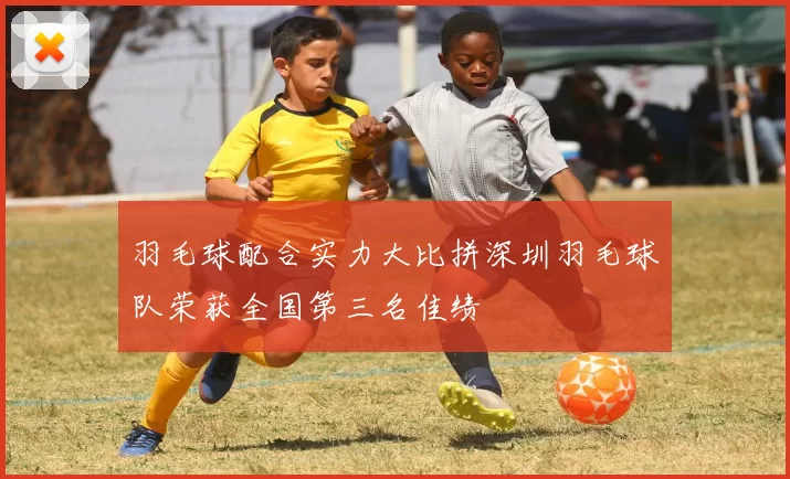 羽毛球配合实力大比拼深圳羽毛球队荣获全国第三名佳绩