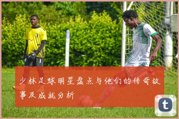 少林足球明星盘点与他们的传奇故事及成就分析