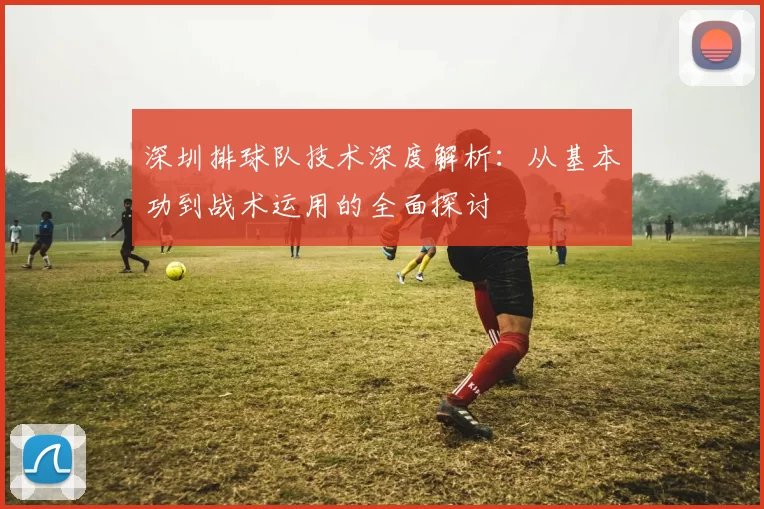 深圳排球队技术深度解析：从基本功到战术运用的全面探讨