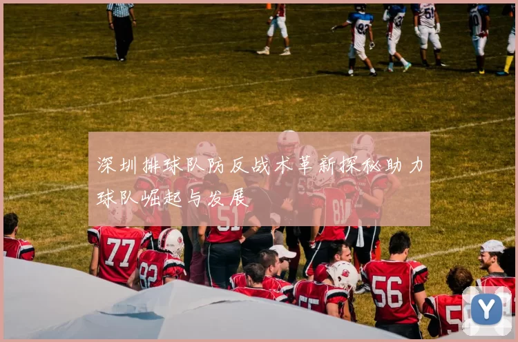 深圳排球队防反战术革新探秘助力球队崛起与发展