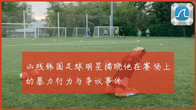 凶残韩国足球明星揭晓他在赛场上的暴力行为与争议事件