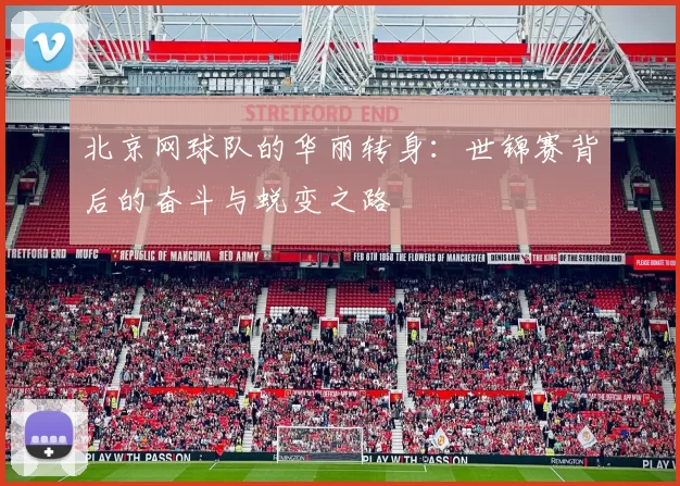 北京网球队的华丽转身：世锦赛背后的奋斗与蜕变之路