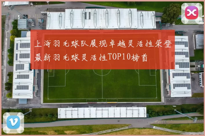 上海羽毛球队展现卓越灵活性荣登最新羽毛球灵活性TOP10榜首
