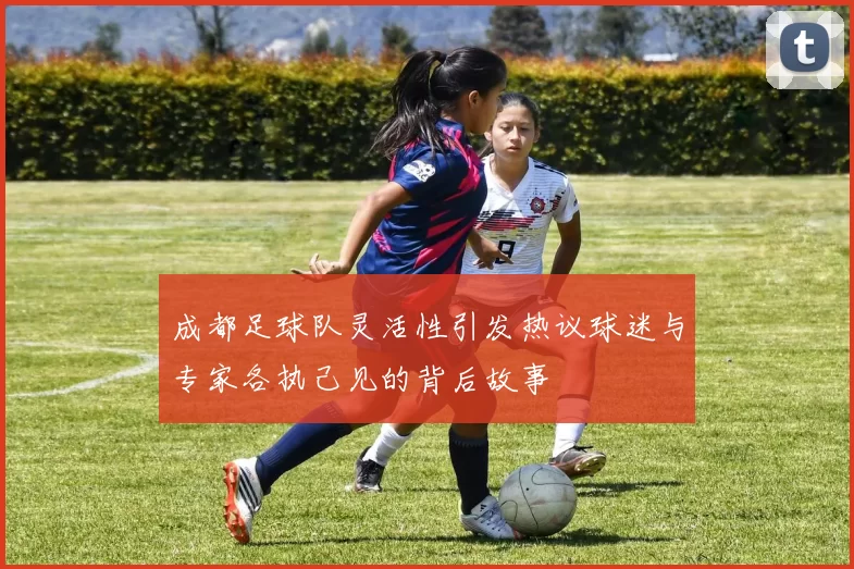 成都足球队灵活性引发热议球迷与专家各执己见的背后故事