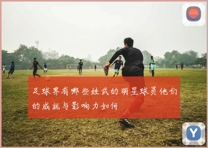 足球界有哪些姓武的明星球员他们的成就与影响力如何