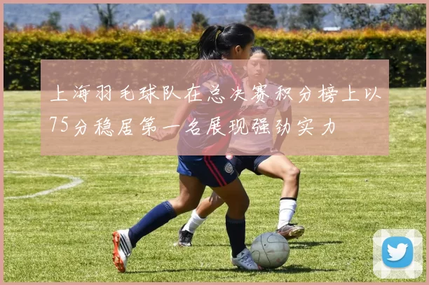上海羽毛球队在总决赛积分榜上以75分稳居第一名展现强劲实力
