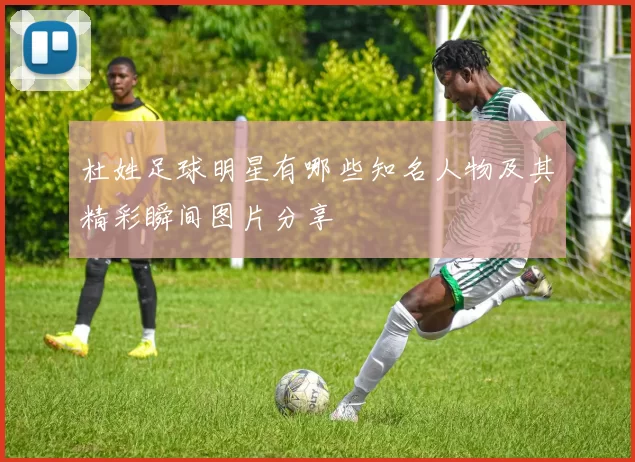 杜姓足球明星有哪些知名人物及其精彩瞬间图片分享