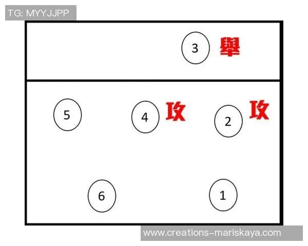 深圳排球队中路突破战术解析与实战应用探讨