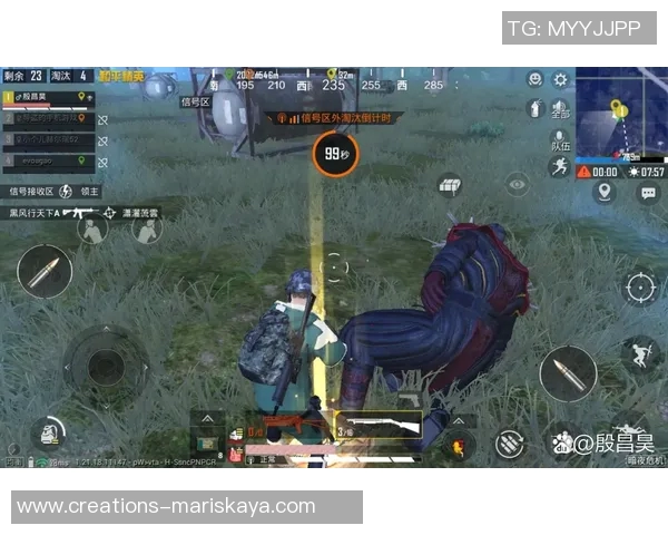 深度探讨黄秀英在和平精英中的成长与人生哲学